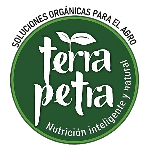 Terra Petra